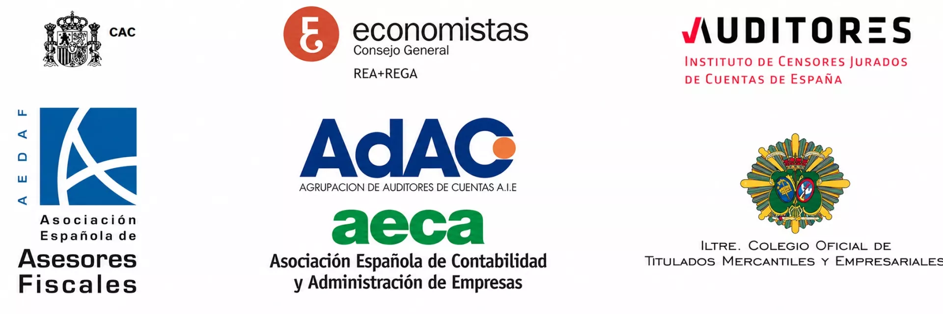 AUDICYL Auditores y sus organizaciones profesionales de auditoría